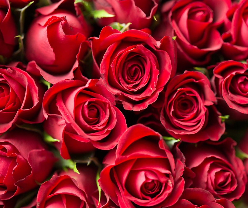 Love is in the air: 8x betaalbare valentijnscadeaus 💘
